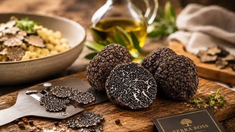 Průvodce černým lanýžem: Tuber melanosporum, sezóna, vůně a použití