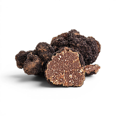 Whole and cut Tuber uncinatum Burgundy Truffles showing mature brown marbled interiors