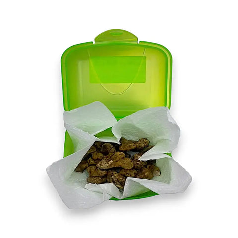Green plastic snack container with brown dog treats for White Truffle dog training