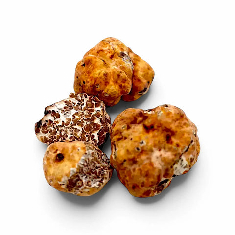 Whole fresh Tuber borchii B Grade truffles with naturally irregular shapes and surface marks