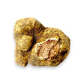 Store friske Tuber magnatum hvide trøfler med naturlig ydre farve og original indre marmorering