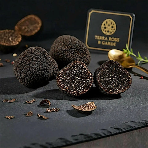 Small fresh Tuber melanosporum specimens showing natural B Grade variation