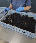 fresh autumn truffle selection
